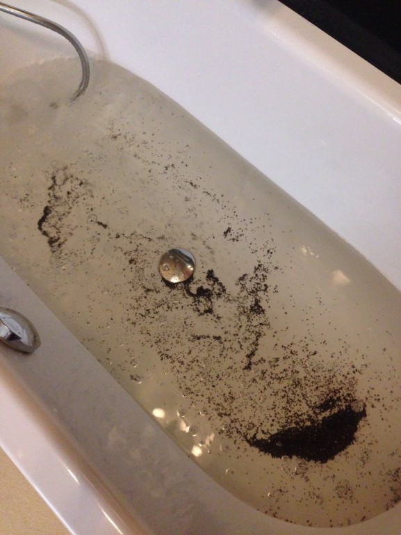 bath caviar in bad