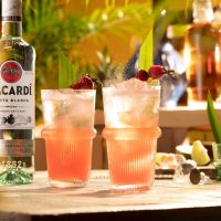 bacardi_mojito_fruit_kopen_maken